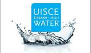 Only members involved in the direct provision of services to Irish Water, including those who work in non-domestic water billing and water metering, are being balloted.