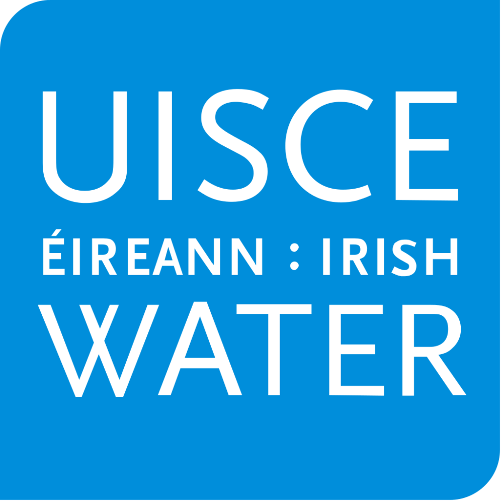 Fórsa official Peter Nolan said the proposal undermined discussions on the organisation of water services.