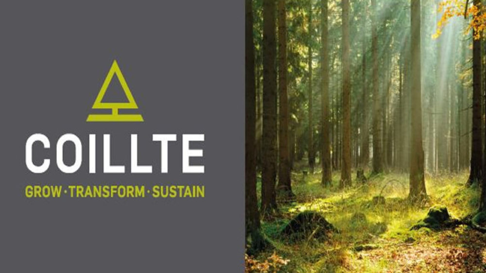 State forestry company Coillte will pay full salary to staff up to the end of May.
