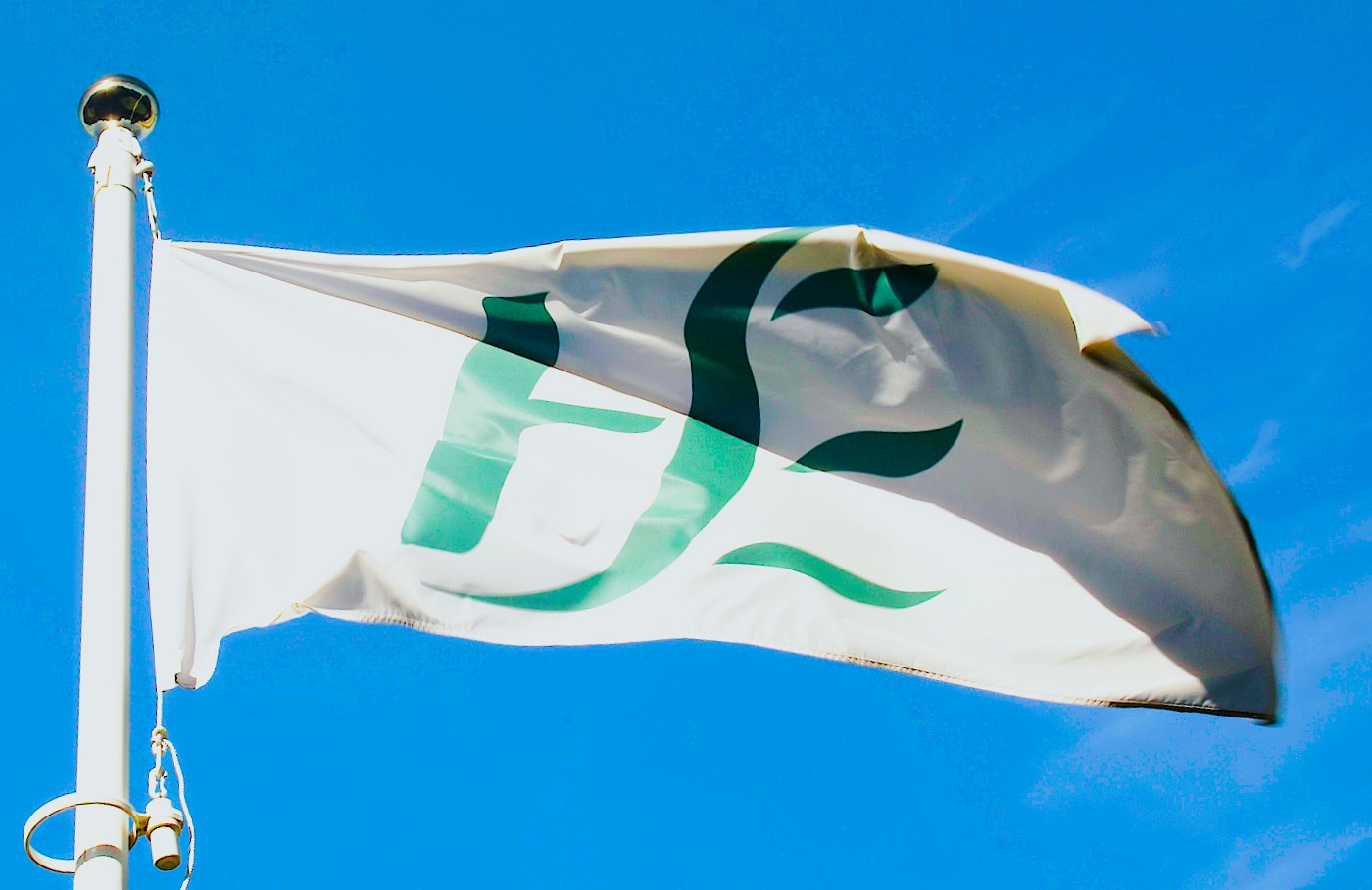 Source: Fórsa. HSE flag flapping in wind on sunny day