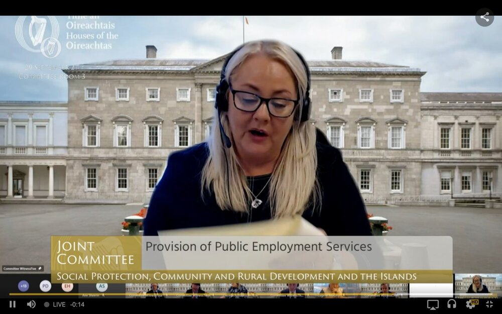 Fórsa assistant general secretary Lynn Coffey (pictured) told the committee the union wanted a pause on the proposed tendering process.
