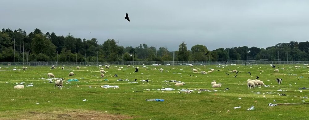 Also in today's news: More than two weeks after the Electric Picnic festival wrapped up a campsite that hosted concertgoers remains heavily littered, with sheep seen grazing this week among the rubbish.