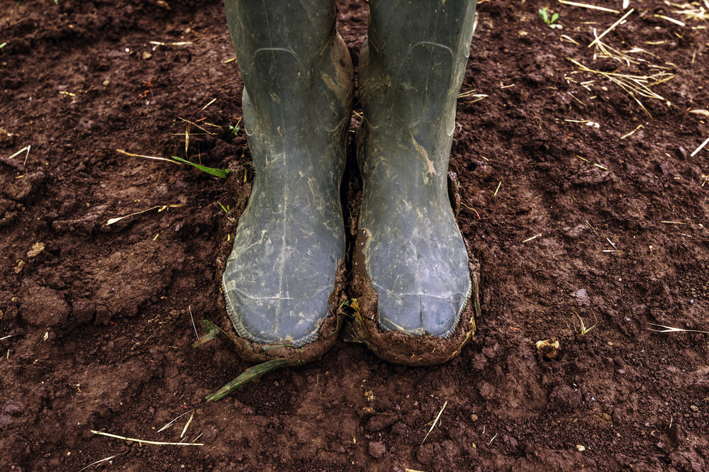 For the first time ever, Fórsa will be hosting a stand at the Ploughing Championships. Stop by the Education and Business tent and say 'hi' to the team. 