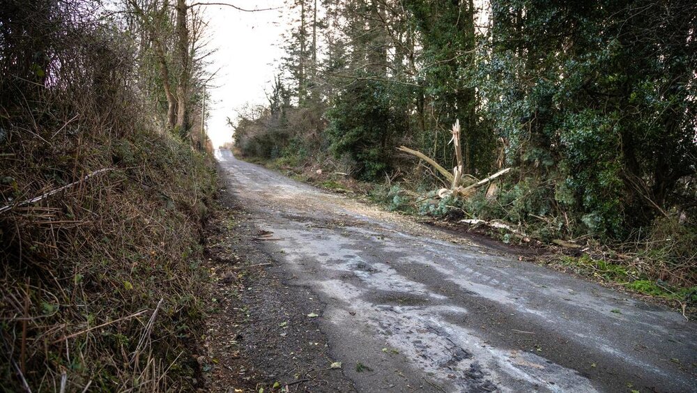 A member of the council’s roads team, Billy Kinsella, was struck by a falling tree and pronounced dead on the scene.